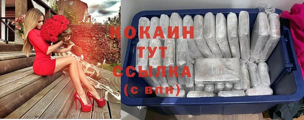 стафф Арсеньев