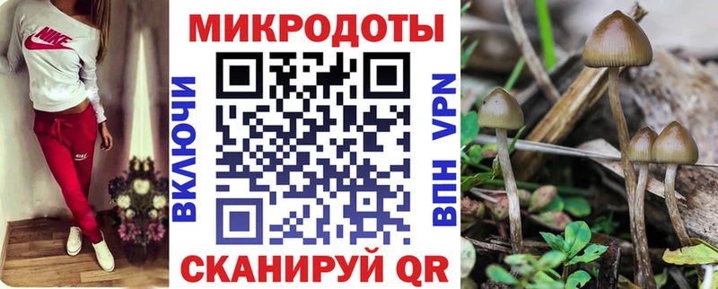 blacksprut рабочий сайт  Искитим  Псилоцибиновые грибы прущие грибы 